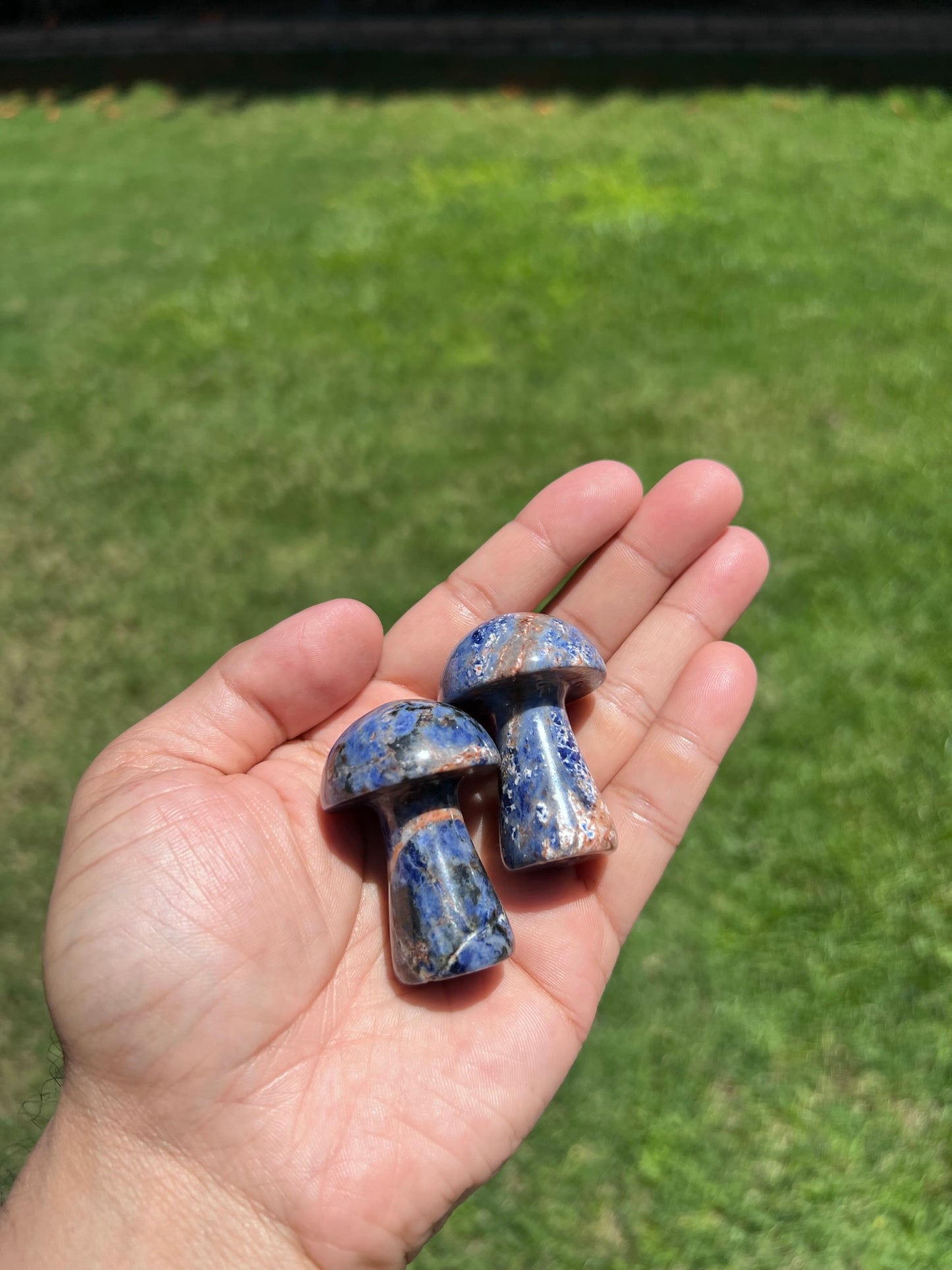 šµ Sodalite Mushroom Crystal - Enhance Intuition & Communication šµ