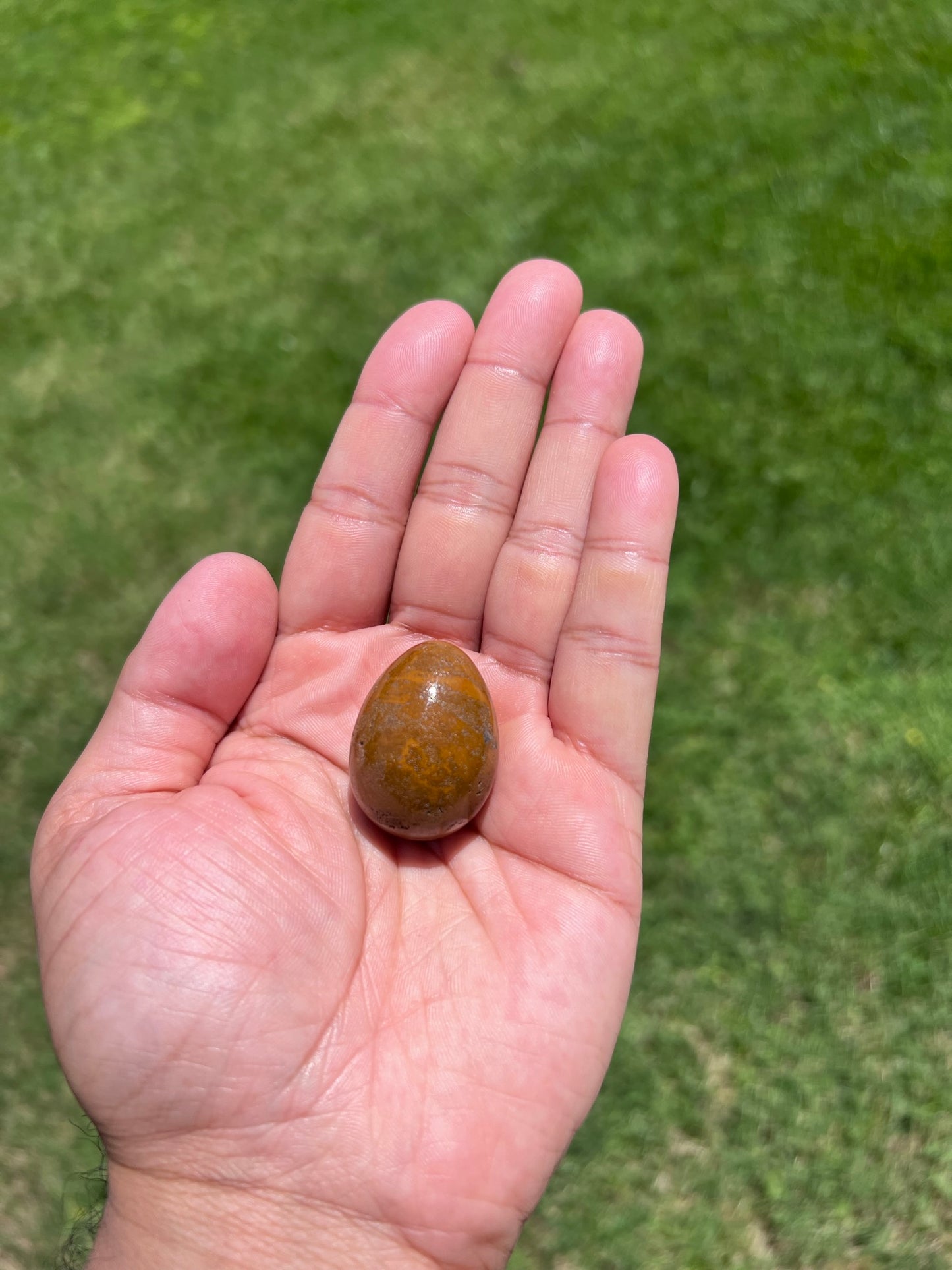 Brazilian Tiger Eye Egg Crystals