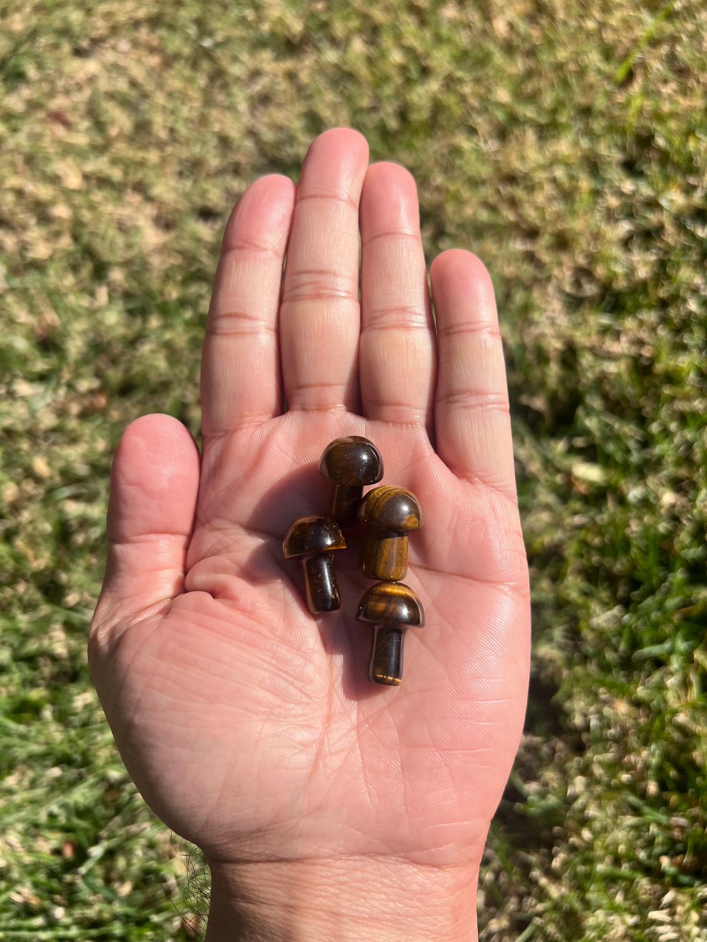 Unleash Your Inner Strength with a Tiger's Eye Mini Mushroom from Africa š
š