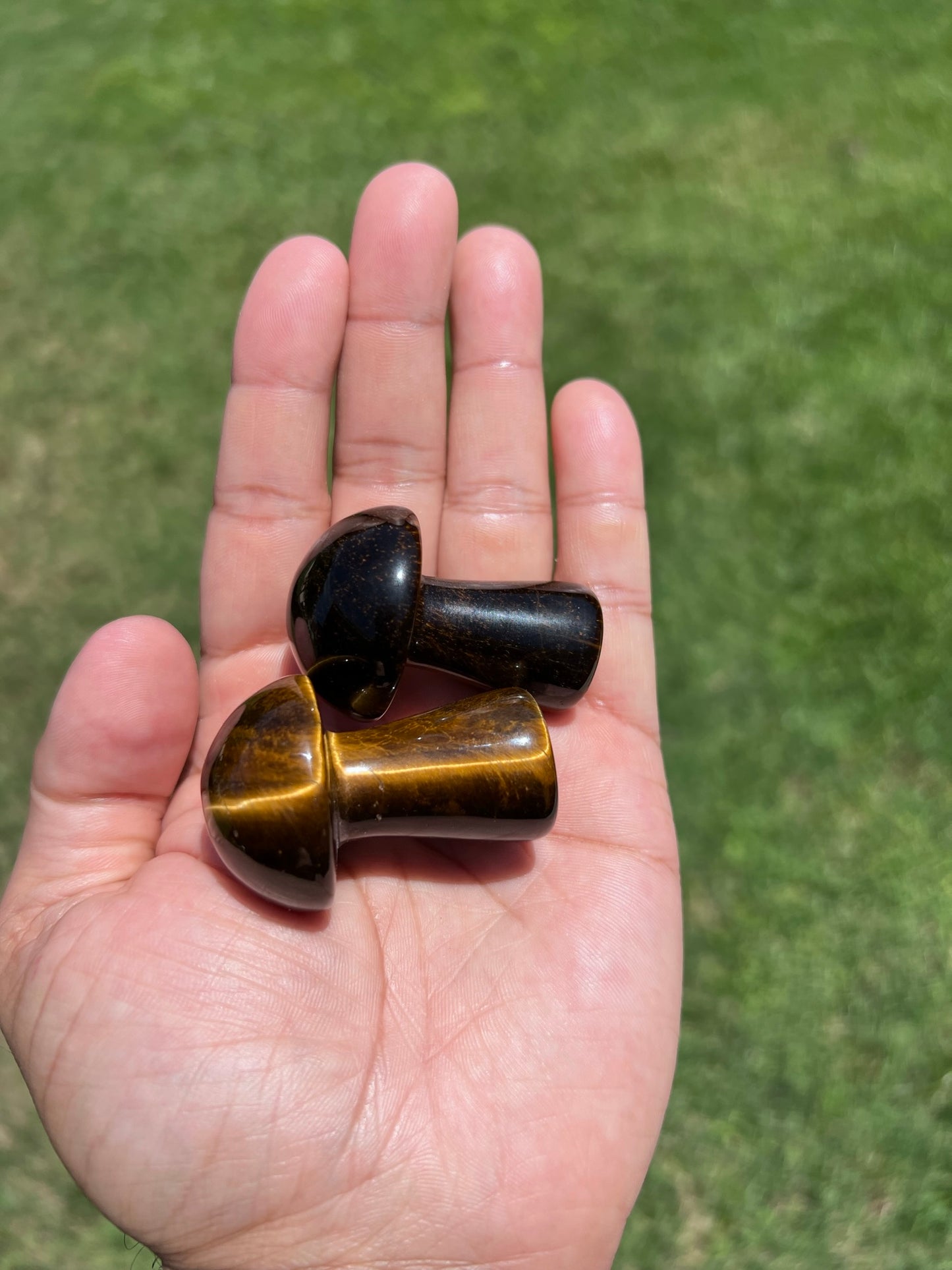 ✨ Tiger Eye Mushroom Crystal - Embrace Grounding & Abundance (Limited Stock!) ✨