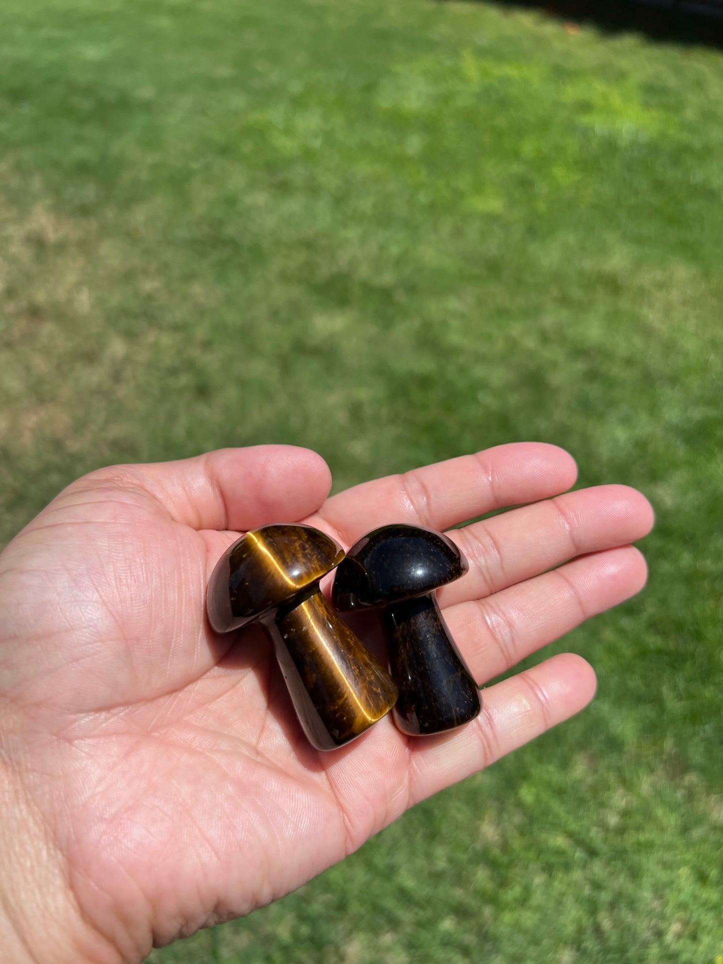 ✨ Tiger Eye Mushroom Crystal - Embrace Grounding & Abundance (Limited Stock!) ✨