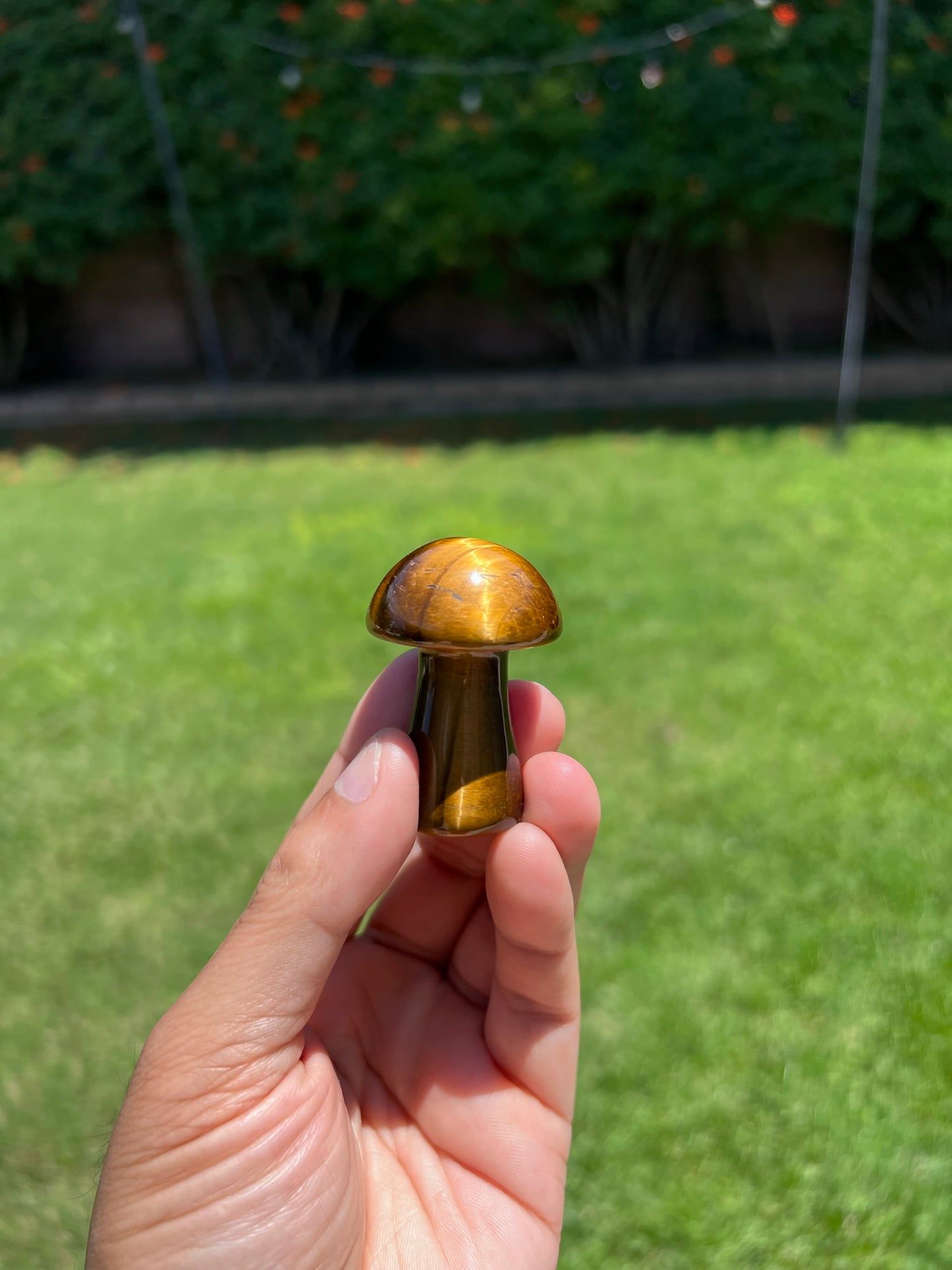 ✨ Tiger Eye Mushroom Crystal - Embrace Grounding & Abundance (Limited Stock!) ✨