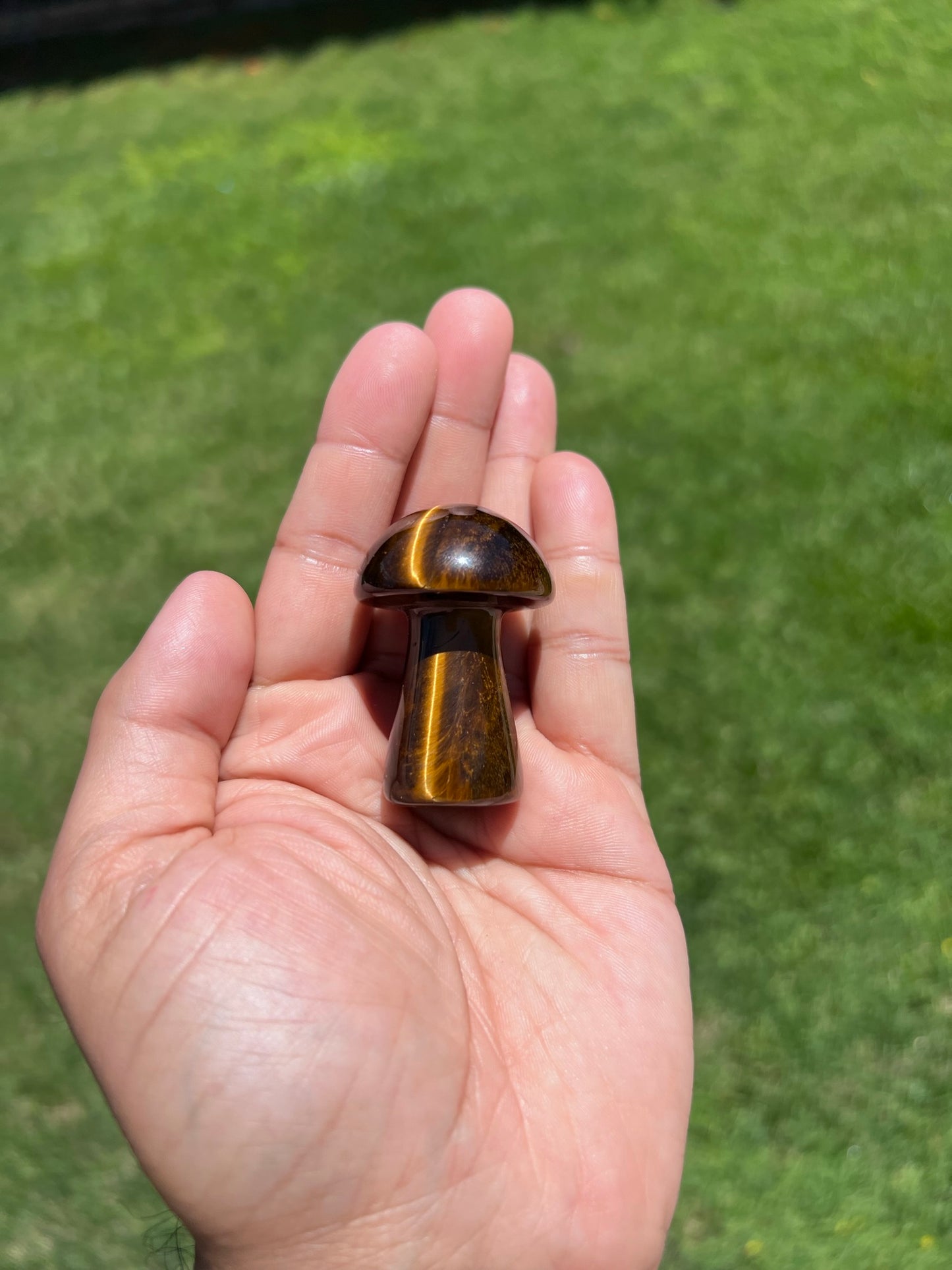 ✨ Tiger Eye Mushroom Crystal - Embrace Grounding & Abundance (Limited Stock!) ✨