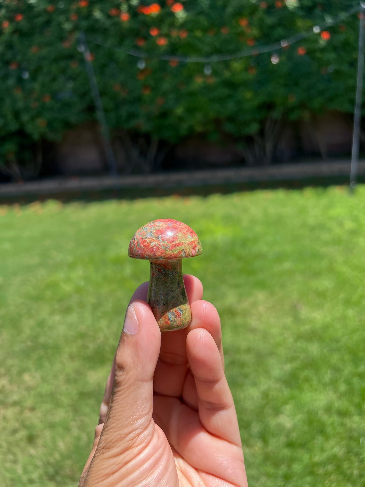 š Unakite Mushroom Crystal - Embrace Growth & Balance š
