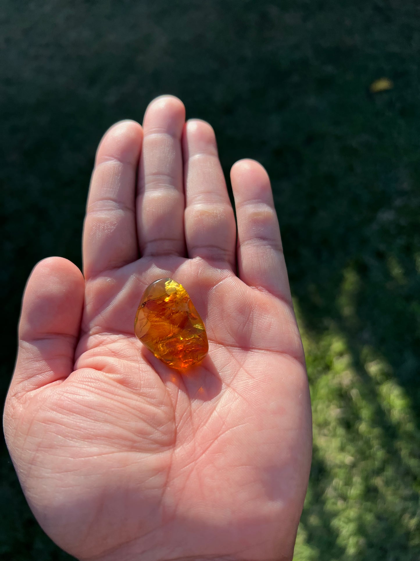 ✨ Unlock Ancient Magic with a Real Amber Geode from Mexico ✨