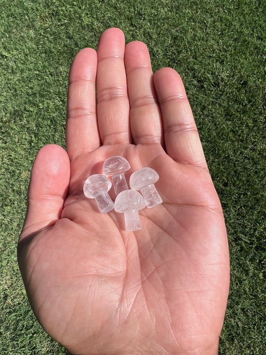 Find Clarity with a Mini Clear Quartz Mushroom 🍄✨