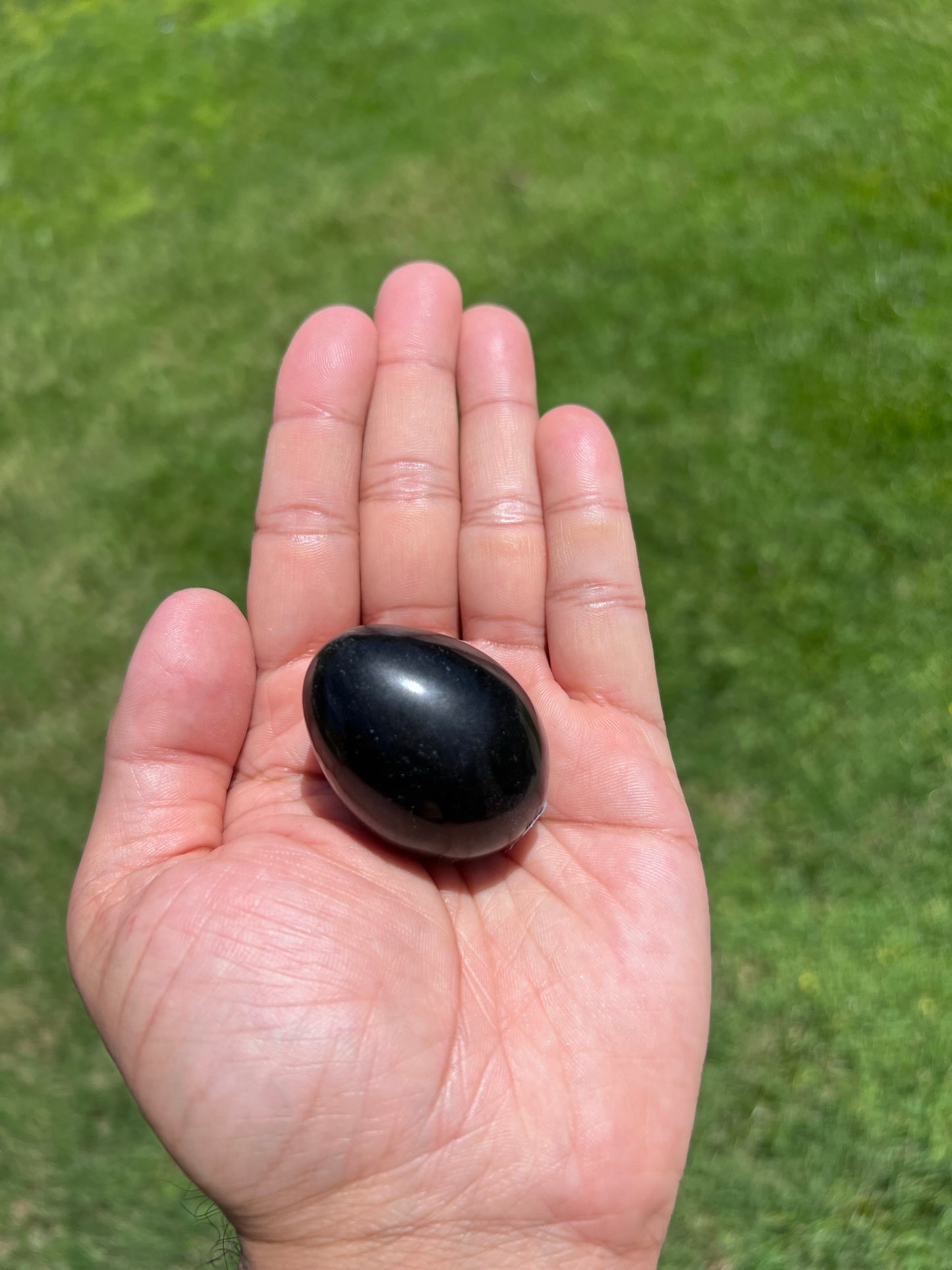 Brazilian Black Chalcedony Egg Crystals