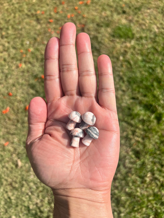 Embrace Joy with a Pink Zebra Jasper Mini Mushroom from Australia 💖🍄