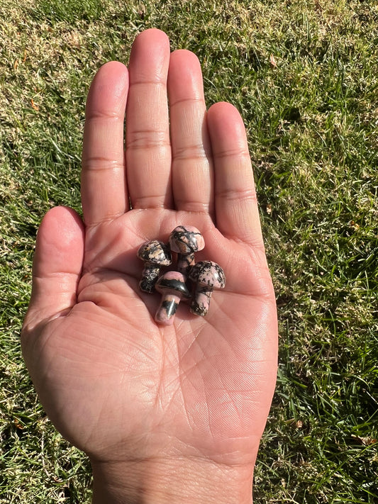 Open Your Heart with a Rhodonite Mini Mushroom from Russia 💖🍄