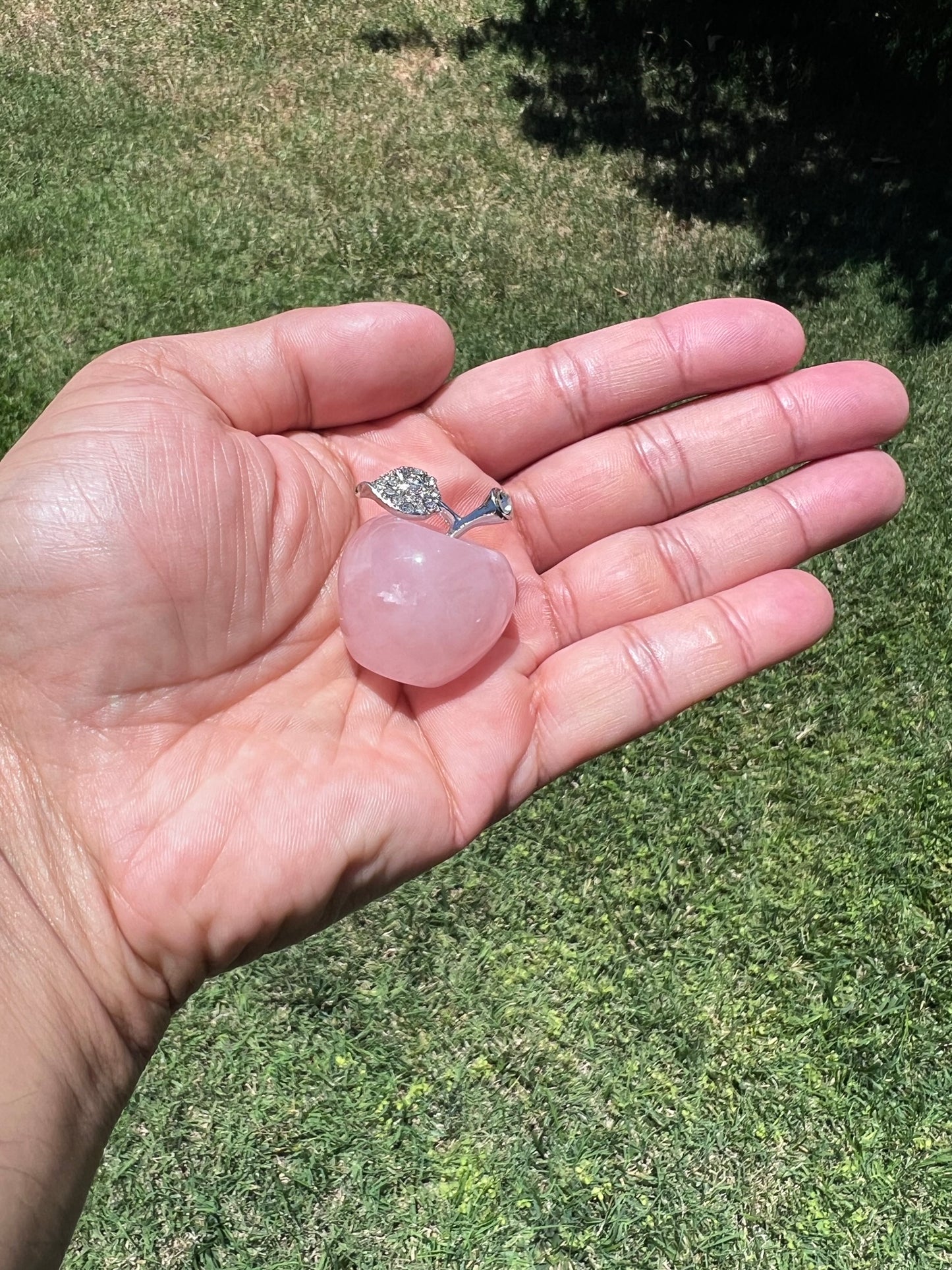 Bite into Crystal Magic with a Crystal Apple 🍎✨