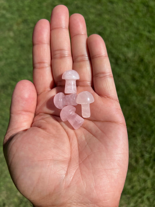 Bloom with Love: Mini Rose Quartz Mushroom 💕🍄