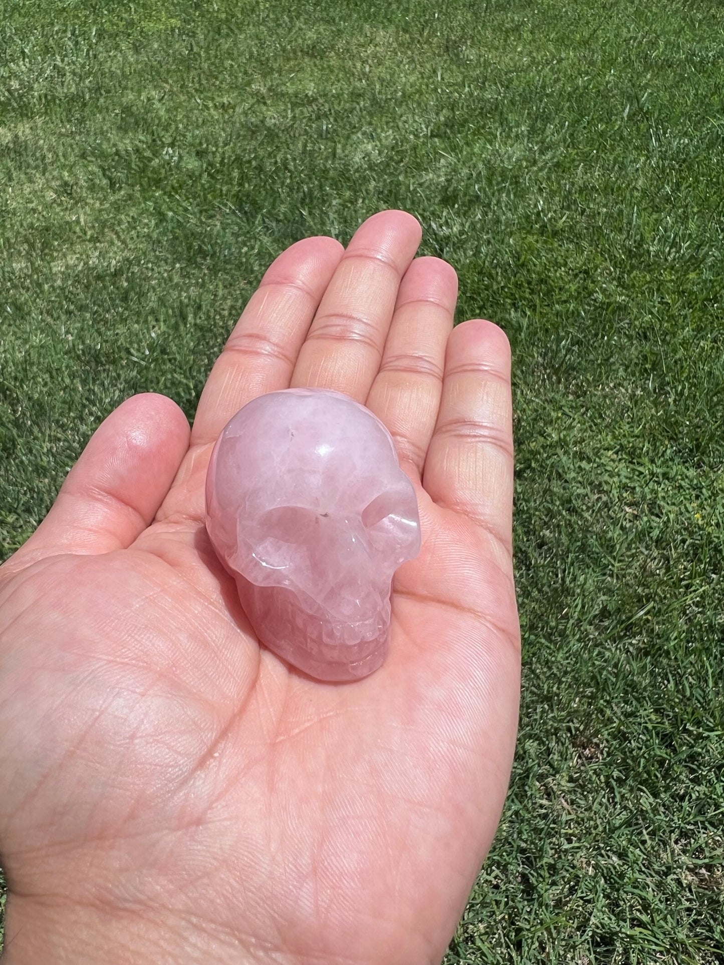 Unlock Ancient Wisdom with a Crystal Skull 💎✨