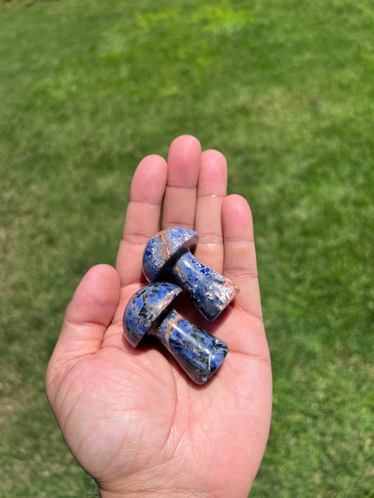 🔵 Sodalite Mushroom Crystal - Enhance Intuition & Communication 🔵